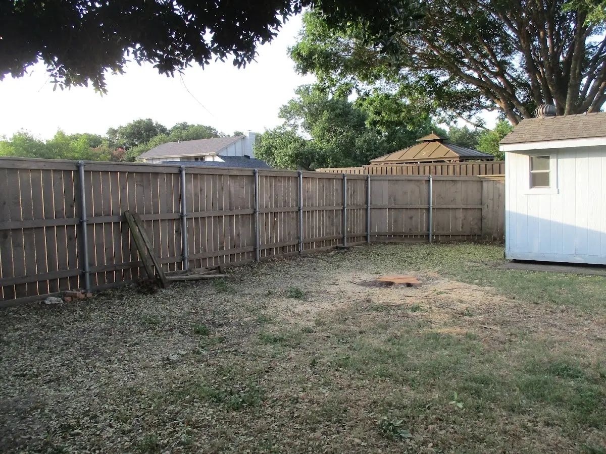 Cleared yard after professional tree removal in Kyles Ford