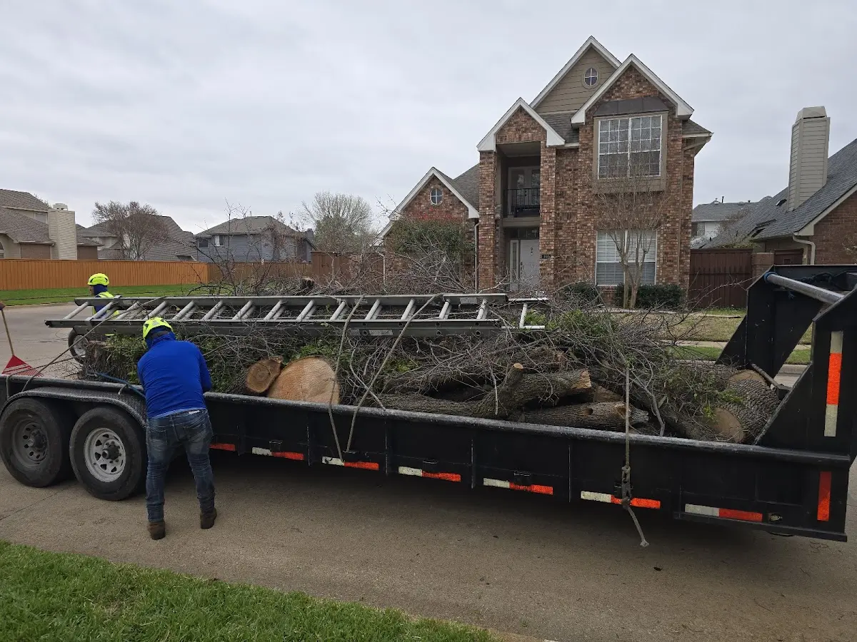 Expert Tree Pest Control with proper safety equipment in Kyles Ford
